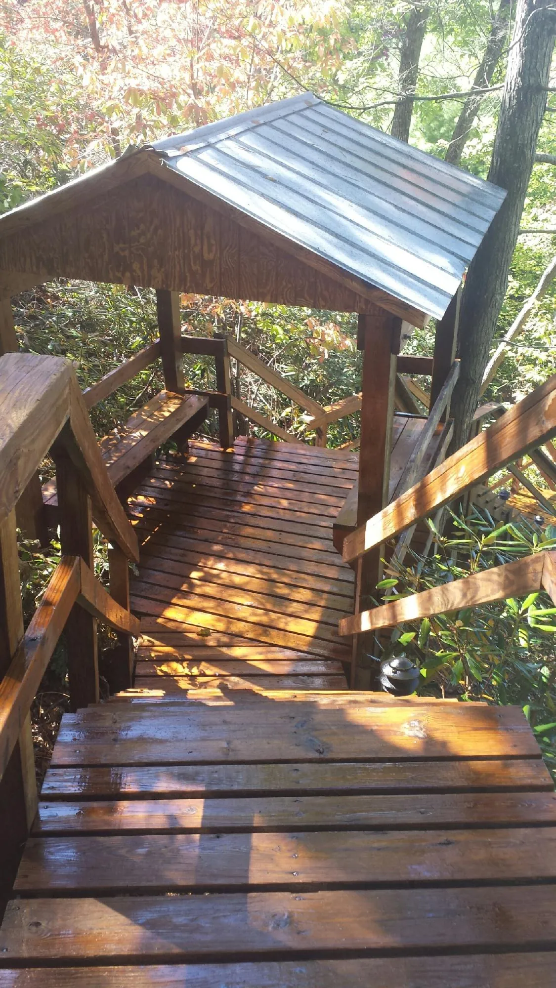 Freshly stained wood walkway and covered shelter with a metal roof in East Stone Gap